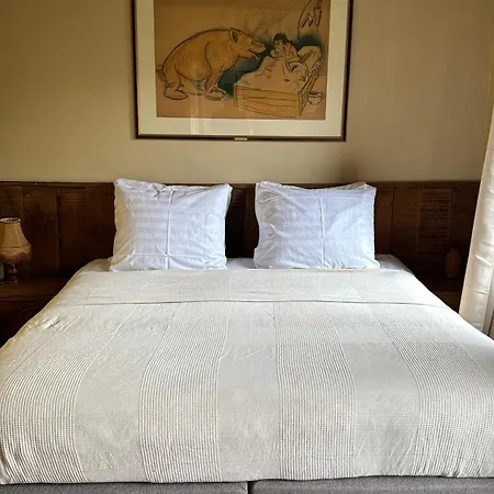 Buteo D'hotes & Espresso 3*