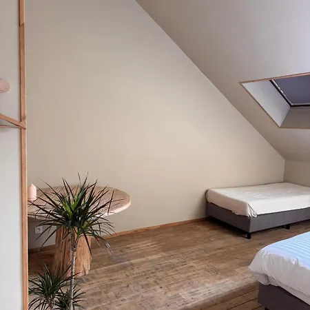 Buteo D'hotes & Espresso ベッド・アンド・ブレックファスト 3*