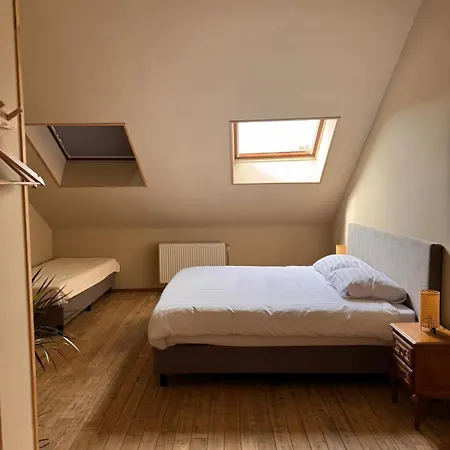 Buteo D'hotes & Espresso 3* Lesterny