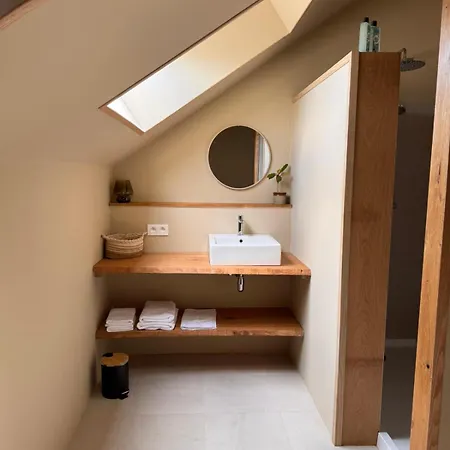 Buteo D'hotes & Espresso Lesterny