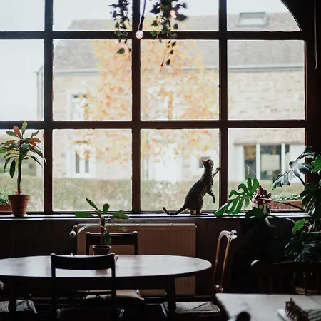 Buteo D'hotes & Espresso ベッド・アンド・ブレックファスト