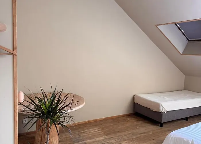 Buteo D'hotes & Espresso Oda ve Kahvaltı 3*