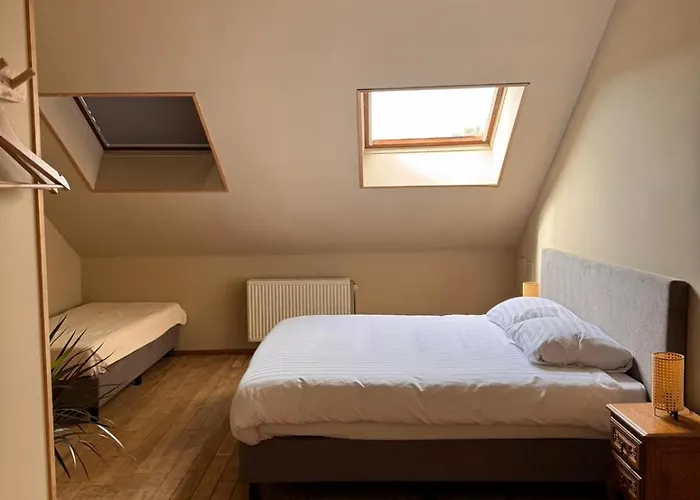 Buteo D'hotes & Espresso 3* Lesterny