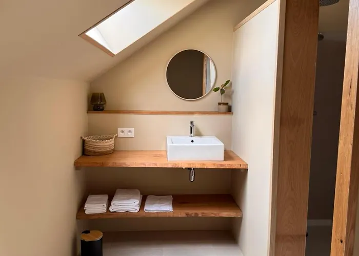 Buteo D'hotes & Espresso Lesterny