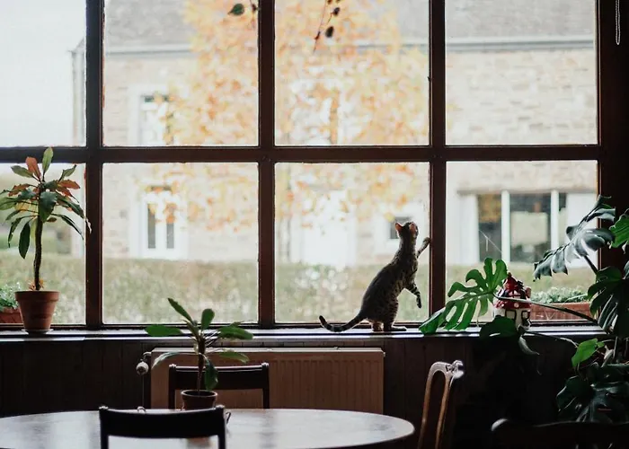 Buteo D'hotes & Espresso Oda ve Kahvaltı