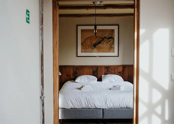 Buteo D'hotes & Espresso 3* Lesterny